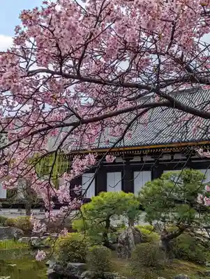 蓮華王院（三十三間堂）(京都府)