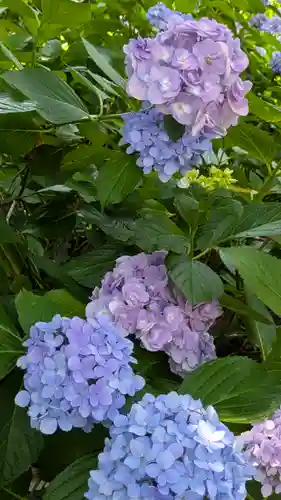 本法寺(京都府)