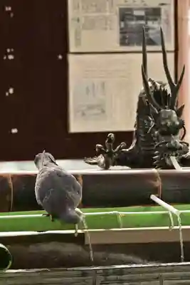 宇都宮二荒山神社(栃木県)