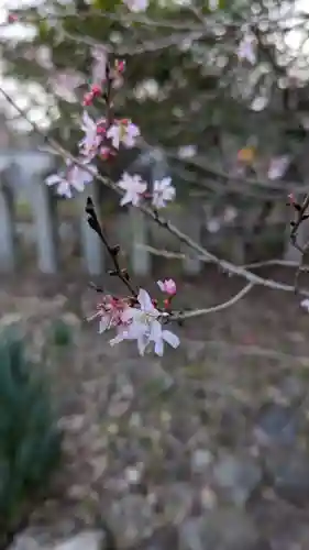 平野神社(京都府)