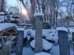 南部神社の建物その他