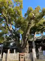 石切劔箭神社上之社(大阪府)