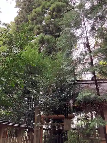 幣立神宮(熊本県)