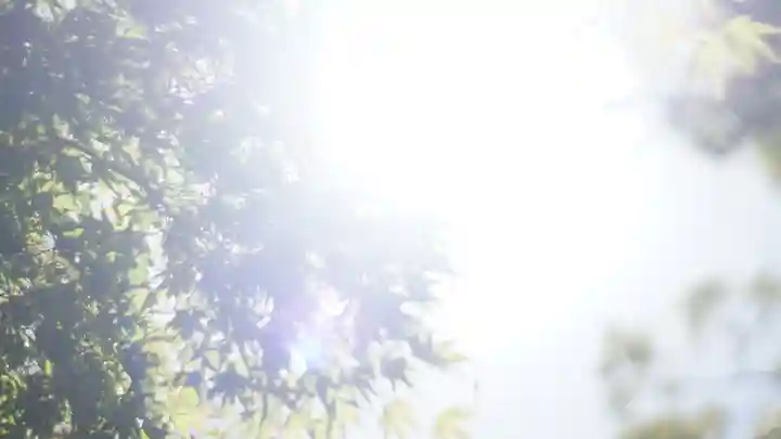 湊川神社(兵庫県)