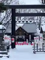 旭川神社のお祭り