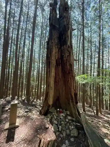 武甲山御嶽神社(埼玉県)