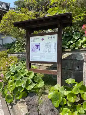 安養院　(田代寺）の歴史