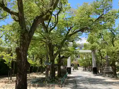 湊川神社(兵庫県)