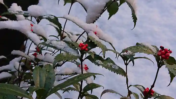 雲龍院(京都府)