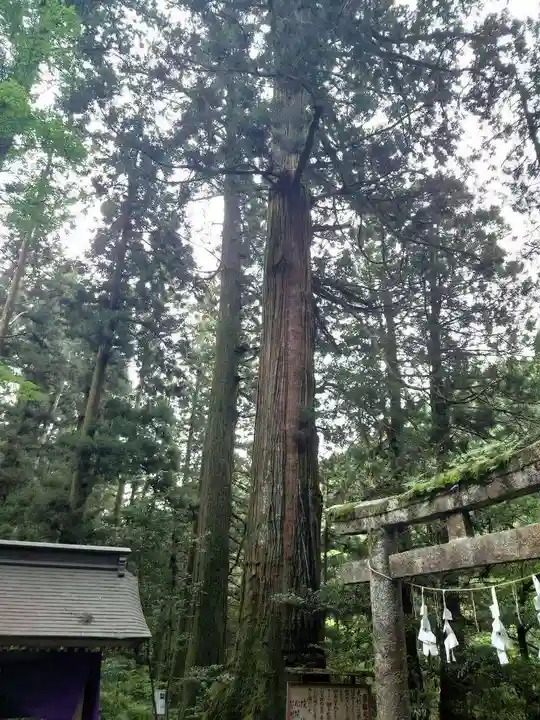花園神社(茨城県)