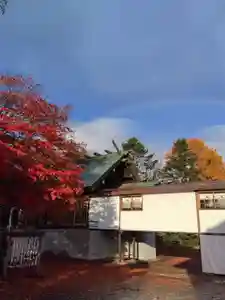 厚別神社(北海道)(2023年11月08日(水) 08時27分02秒投稿)