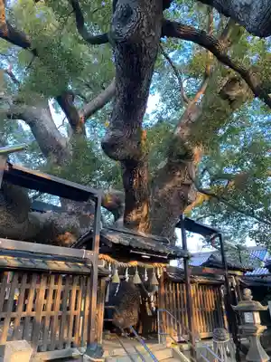 三島神社の自然