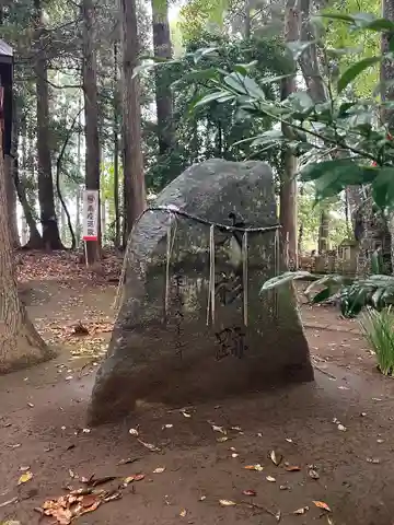 大蛇摩賀多神社(千葉県)