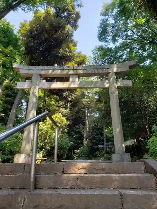 代々木八幡宮の鳥居