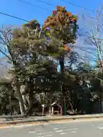 弁財天(千葉県)