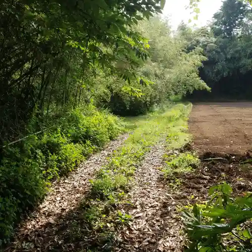 香取神社の自然