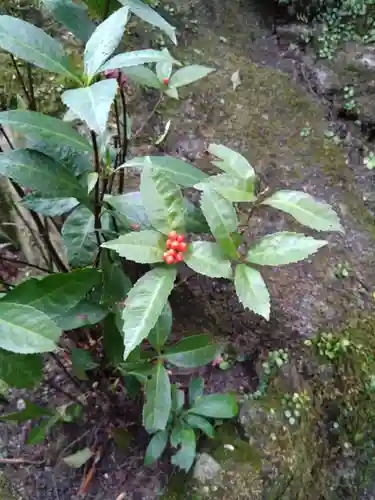 宝満宮竈門神社(福岡県)