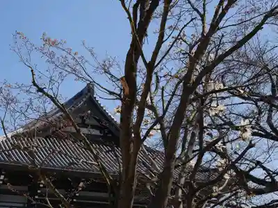 高野山東京別院のその他建物