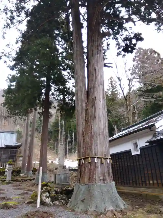鵜甘神社(福井県)