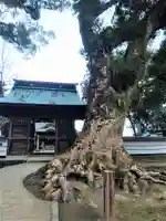 溝口竃門神社の自然