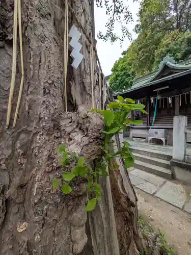 志茂熊野神社(東京都)