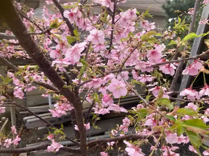 東覺院(東京都)