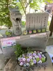 手稲神社の手水