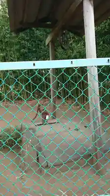 真名井大師堂のその他建物