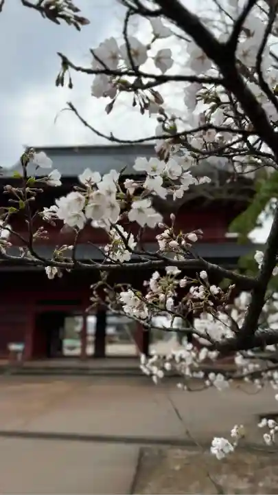 本成寺(新潟県)