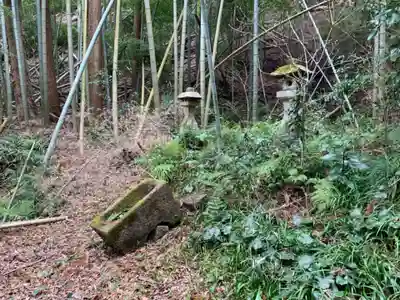 日枝神社の自然