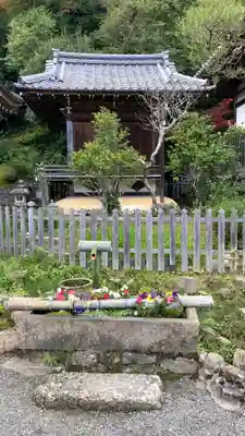 二尊院(京都府)