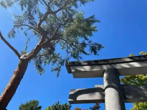 彌彦神社　(伊夜日子神社)の自然