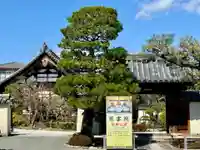 慈雲院(京都府)
