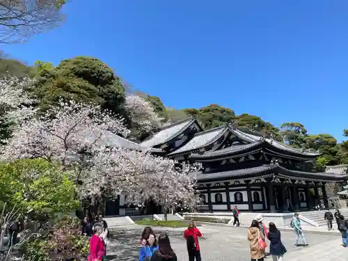 長谷寺(神奈川県)