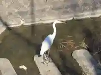 小北稲荷大明神(奈良県)