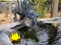 龍宝寺の手水舎