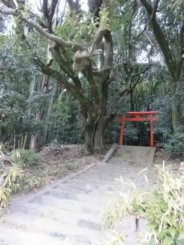 天武神社の自然