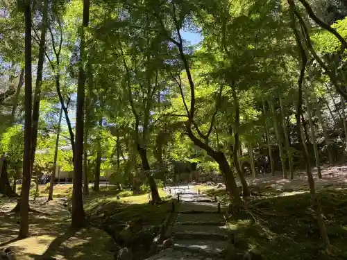 西芳寺(京都府)