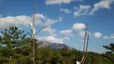 月讀神社の自然
