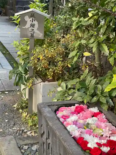 回向院(東京都)