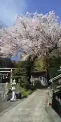 藏皇神社の自然