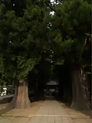 河口浅間神社(山梨県)