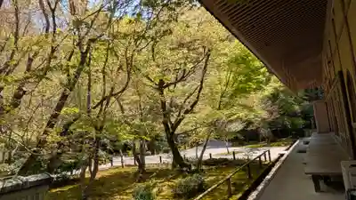 圓光寺(京都府)