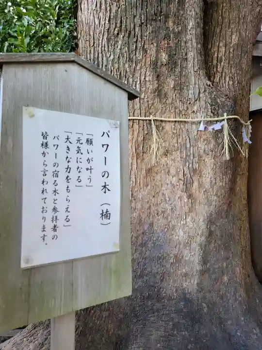 菅生神社(愛知県)