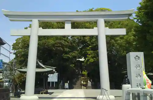 白旗神社の鳥居