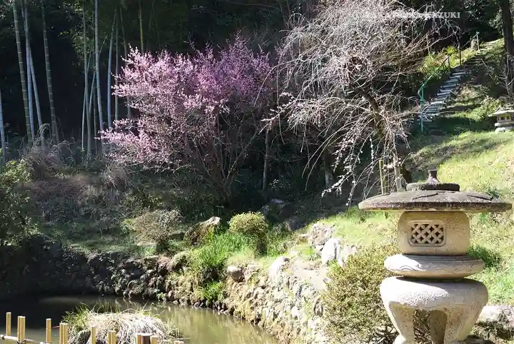 高麗神社(埼玉県)