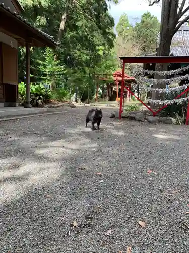 桃園神社(山梨県)