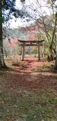 鍬山神社の鳥居