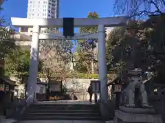 乃木神社の鳥居