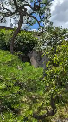 妙栄寺(京都府)